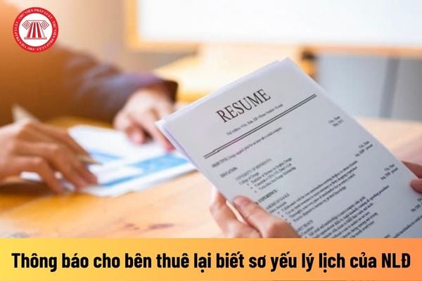 Doanh nghiệp cho thuê lại lao động có phải thông báo cho bên thuê lại lao động biết sơ yếu lý lịch của người lao động?