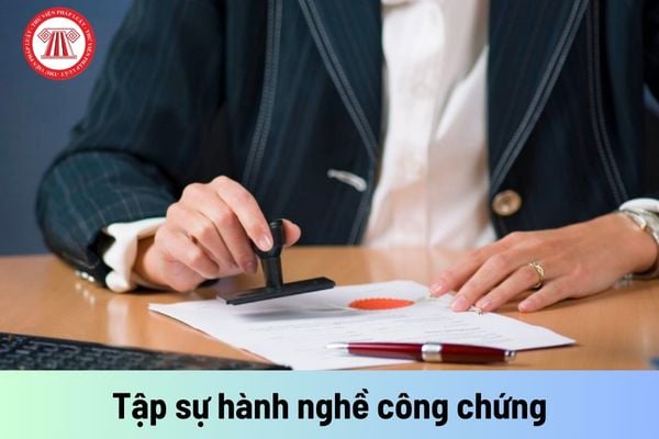 Người đã có chứng nhận bồi dưỡng nghề công chứng có bắt buộc phải tập sự hành nghề công chứng?