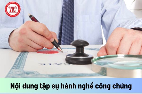 Nội dung tập sự hành nghề công chứng gồm những công việc gì?