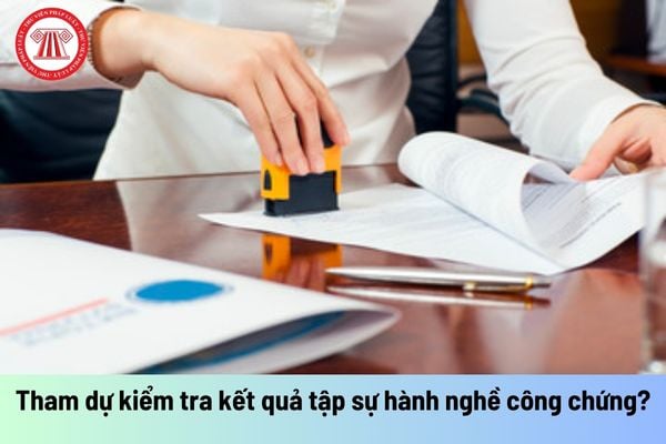 Người không đạt yêu cầu trong kỳ kiểm tra kết quả tập sự hành nghề công chứng trước có được đăng ký tham dự kiểm tra lại không?