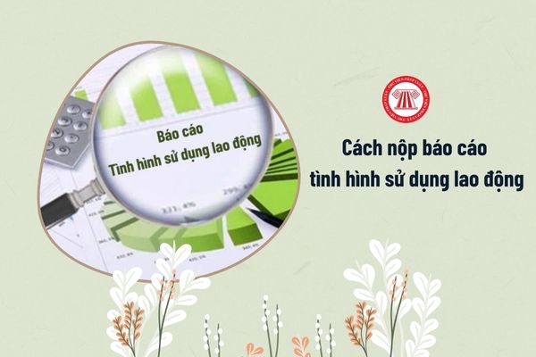 Cách nộp báo cáo tình hình sử dụng lao động