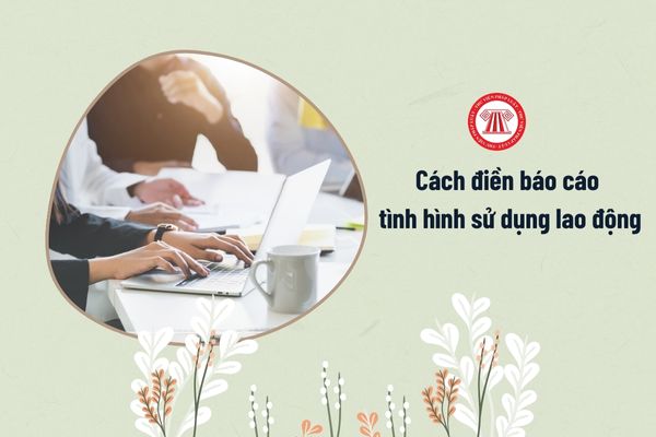 Cách điền Mẫu Báo cáo tình hình sử dụng lao động cuối năm