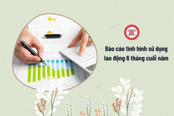 báo cáo tình hình sử dụng lao động 6 tháng cuối năm