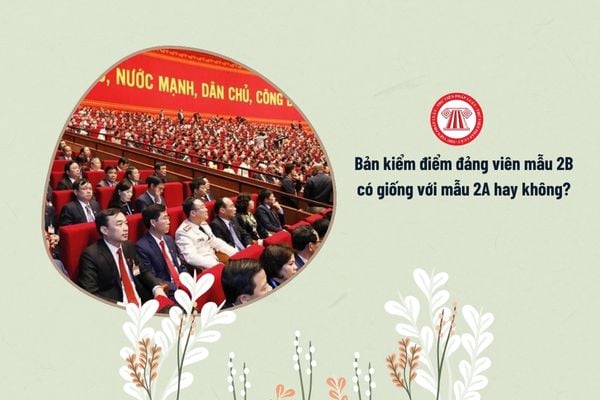 Bản kiểm điểm đảng viên năm 2024 mẫu 2B dành cho CBCCVC có giống với mẫu 2A hay không?