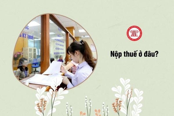 Pháp luật