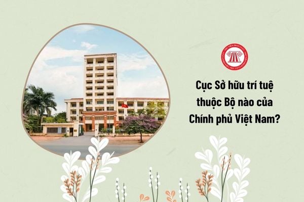 Cục Sở hữu trí tuệ thuộc Bộ nào của Chính phủ Việt Nam?