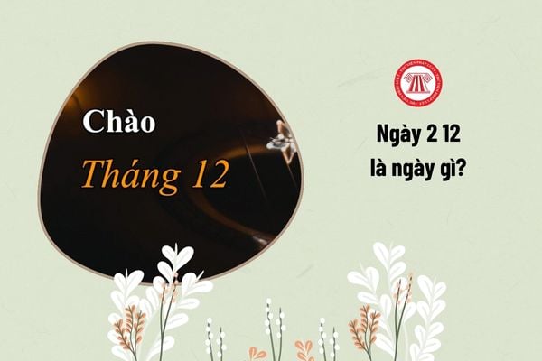 Ngày 2 12 là ngày gì?