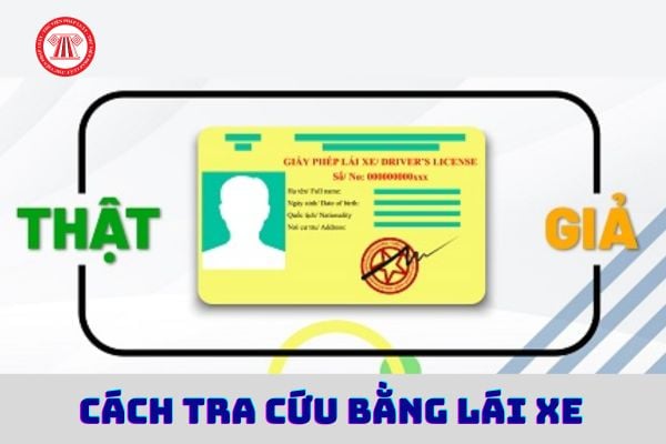 Cách tra cứu bằng lái xe chính xác nhất 2024 như thế nào?