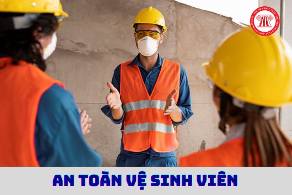 Chức danh An toàn vệ sinh viên do ai bầu ra?