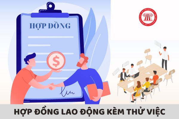 Mẫu hợp đồng lao động kèm thử việc mới nhất 2024 được lập thế nào?