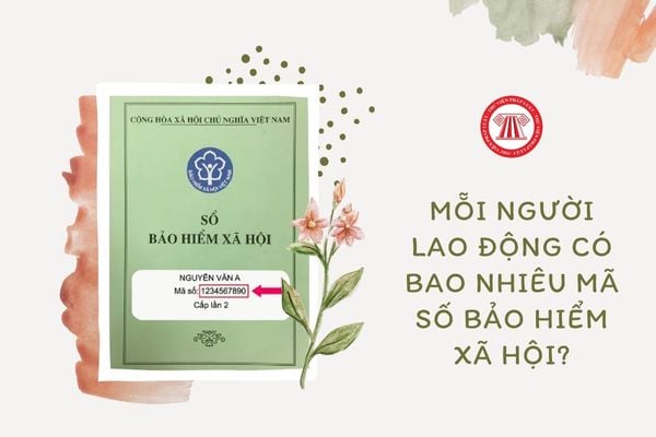 Mỗi người lao động có bao nhiêu mã số bảo hiểm xã hội?