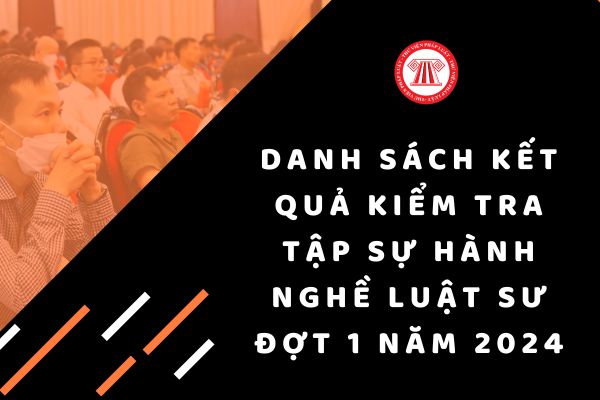 Danh sách kết quả kiểm tra tập sự hành nghề luật sư đợt 1 năm 2024 toàn quốc ra sao?