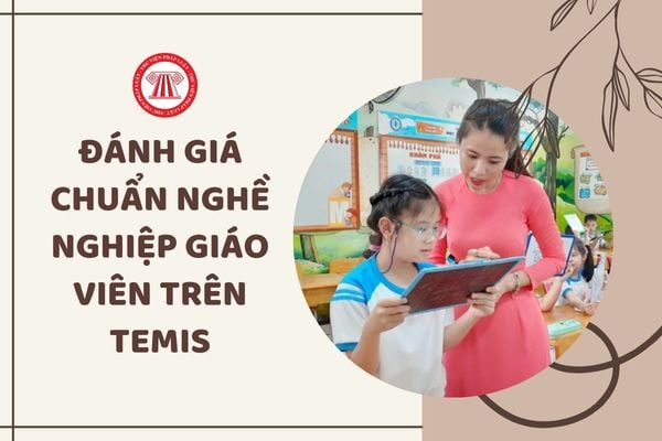 Hướng dẫn đánh giá chuẩn nghề nghiệp giáo viên trên TEMIS 2024 như thế nào?