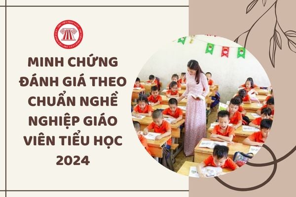 Tổng hợp minh chứng đánh giá chuẩn nghề nghiệp giáo viên tiểu học 2024 thế nào?