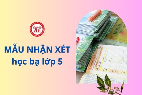 Mẫu nhận xét học bạ lớp 5 theo Thông tư 22 dành cho giáo viên tiểu học như thế nào?