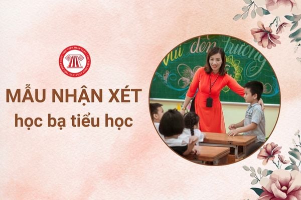 Giáo viên tiểu học nhận xét học bạ theo Thông tư 27 như thế nào?