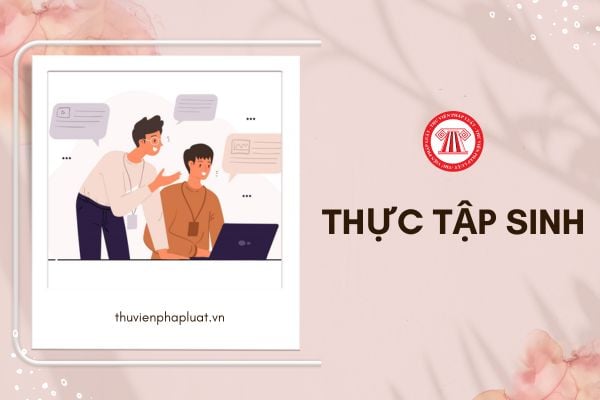 Thực tập sinh được trả lương bao nhiêu trong thời gian thực tập tại công ty?