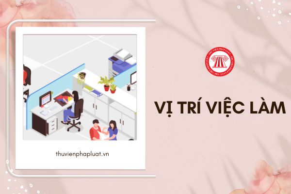 Vị trí việc làm viên chức được phân thành những loại nào?