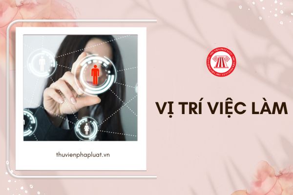 Phân loại vị trí việc làm công chức dựa trên tiêu chí nào?