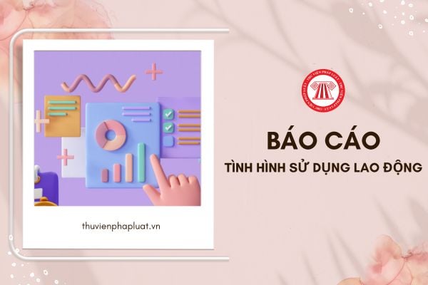 Hướng dẫn nộp báo cáo tình hình sử dụng lao động online như thế nào?