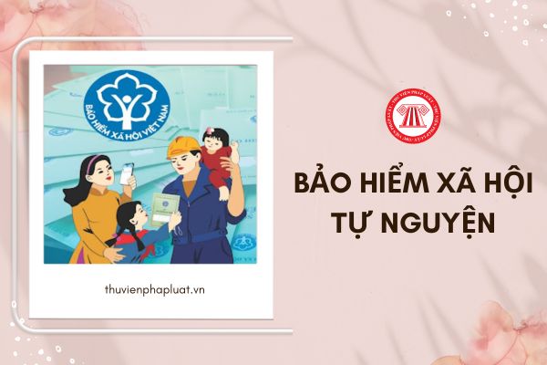 Mua bảo hiểm xã hội tự nguyện ở đâu? Bao nhiêu tuổi được mua bảo hiểm xã hội tự nguyện?