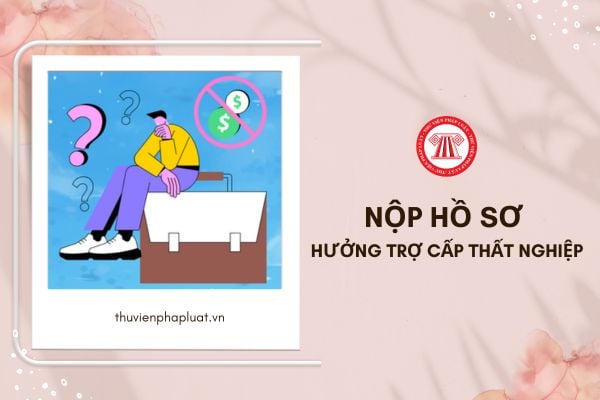 Nộp hồ sơ hưởng trợ cấp thất nghiệp tại cơ quan bảo hiểm xã hội tỉnh hay huyện?