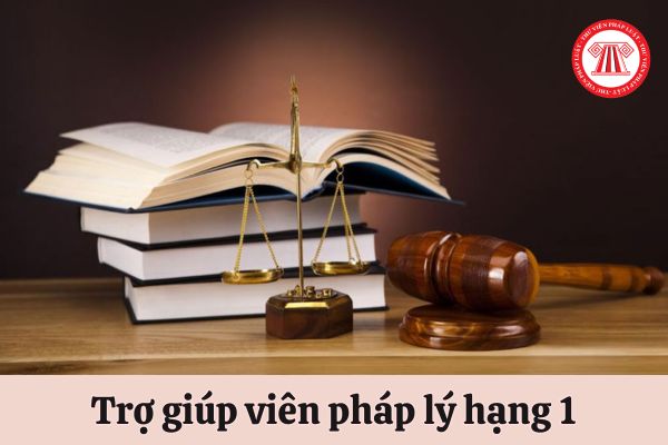 Trợ giúp viên pháp lý hạng 1 được áp dụng hệ số lương bao nhiêu?