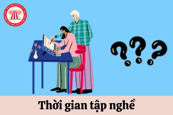 Khi nào thời gian tập nghề được xem là thời gian làm việc để tính số ngày nghỉ hằng năm?