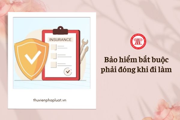 3 loại bảo hiểm bắt buộc mà người lao động phải đóng hằng tháng khi đi làm là loại nào?