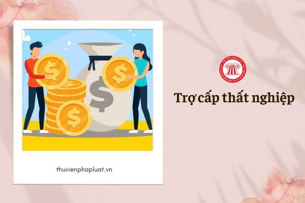 Nộp hồ sơ hưởng trợ cấp thất nghiệp nhưng hủy hồ sơ thì sau này có được hưởng thời gian đóng BHTN cũ không?