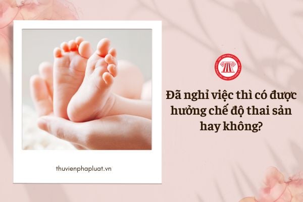 Đã nghỉ việc thì có được hưởng chế độ thai sản hay không?