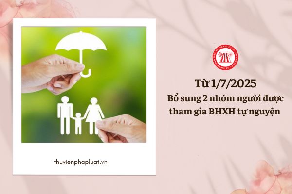 Bổ sung 2 nhóm người được tham gia BHXH tự nguyện từ 1/7/2025, đó là ai?