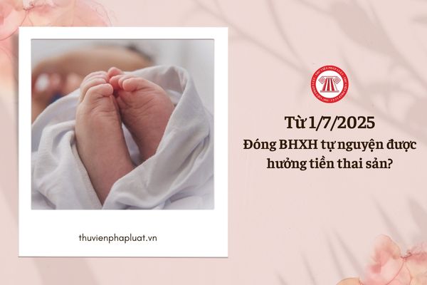 Đóng BHXH tự nguyện được hưởng bao nhiêu tiền thai sản?