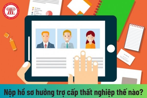 Người lao động nộp hồ sơ đề nghị hưởng trợ cấp thất nghiệp thế nào?