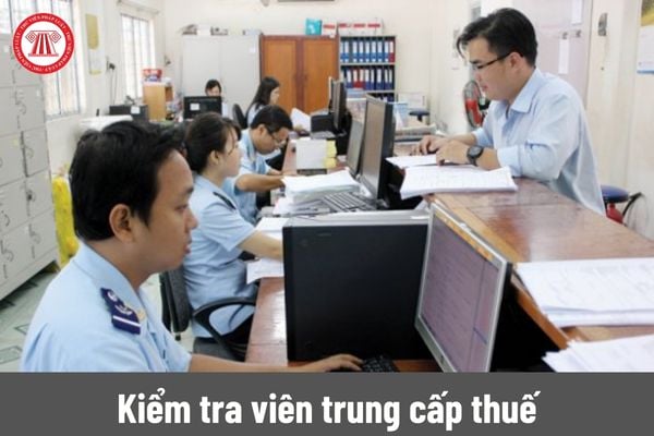 Kiểm tra viên trung cấp thuế có chịu trách nhiệm quản lý thông tin của người nộp thuế không?