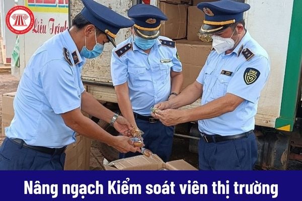 Công chức Quản lý thị trường thi nâng ngạch Kiểm soát viên thị trường phải có thời gian giữ ngạch trong bao lâu?