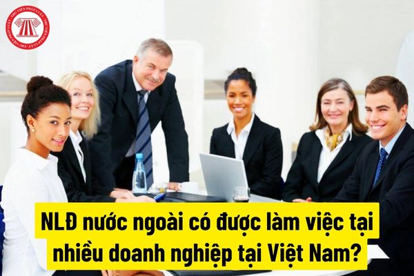 Người lao động nước ngoài có được làm việc tại nhiều doanh nghiệp tại Việt Nam không?