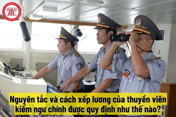 Nguyên tắc và cách xếp lương của thuyền viên kiểm ngư chính được quy định như thế nào?