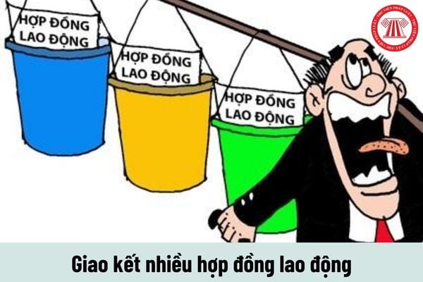 Người lao động giao kết nhiều hợp đồng lao động thì đóng bảo hiểm y tế như thế nào?