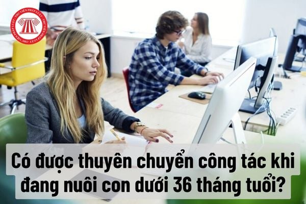 Có được thuyên chuyển công tác đối với cán bộ công chức đang nuôi con nhỏ dưới 36 tháng?