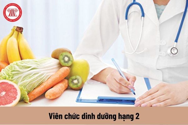 Viên chức dinh dưỡng hạng 2 bắt buộc phải có bằng thạc sĩ?