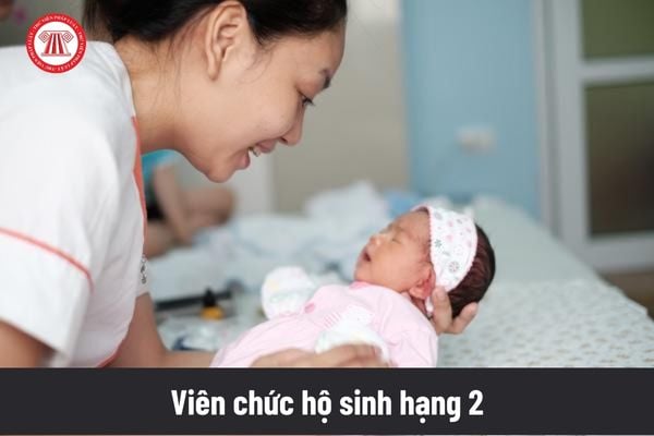 Viên chức hộ sinh đang giữ ngạch hộ sinh chính theo Thông tư 06/2011/TT-BNV có được bổ nhiệm lên viên chức hộ sinh hạng 2 không?