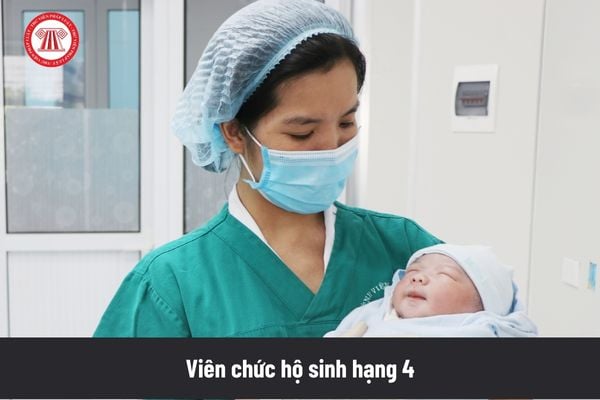 Viên chức hộ sinh hiện đang hưởng lương ở ngạch hộ sinh sơ cấp mà chưa được bổ nhiệm vào chức danh nghề nghiệp hộ sinh hạng 4 thì được xếp lương như thế nào?