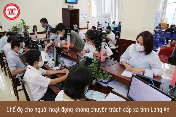 Quy định về chức danh và số lượng người hoạt động không chuyên trách cấp xã tại tỉnh Long An?