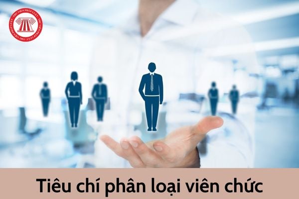 Việc phân loại viên chức được thực hiện dựa trên các tiêu chí nào?