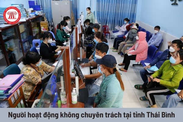 Người hoạt động không chuyên trách cấp xã tại tỉnh Thái Bình được hưởng những khoản phụ cấp nào?