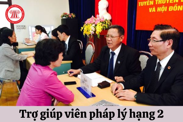 Trợ giúp viên pháp lý hạng 2 thực hiện hướng dẫn nghiệp vụ cho ai?