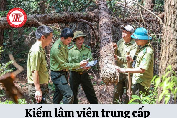 Kiểm lâm viên trung cấp có phải kiểm tra việc sử dụng rừng của chủ rừng theo dự án quy hoạch hay không?