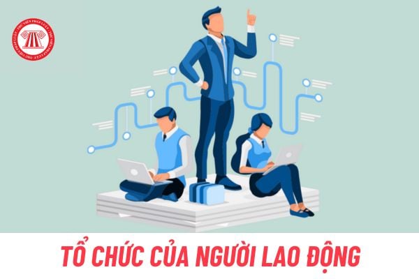 Tổ chức của người lao động tại doanh nghiệp được thành lập khi nào?