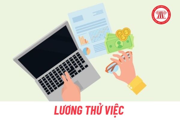 Lương thử việc có phải trích đóng bảo hiểm xã hội hay không?